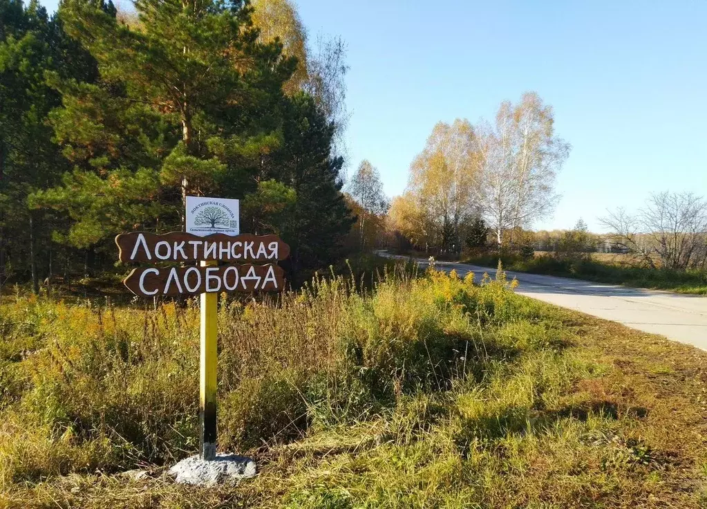 Участок в Новосибирская область, Мошковский район, Барлакский ... - Фото 1