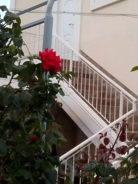 Комната Крым, Алушта муниципальный округ, с. Кипарисное ул. ... - Фото 0