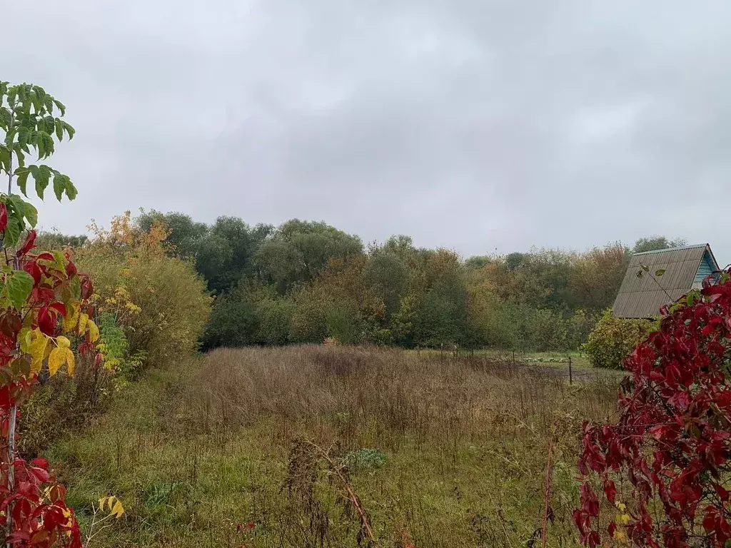 Участок в Орловская область, Орловский район, д. Нижняя Лужна, Дубрава ... - Фото 1