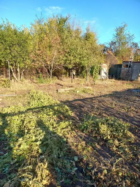 Участок в Саратовская область, Энгельс СНТ Химик-1 мкр,  (4.18 сот.) - Фото 1