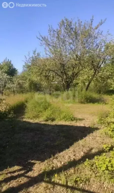 Участок в Калининград, СНТ Весна, Маячная улица (3.7 м) - Фото 1