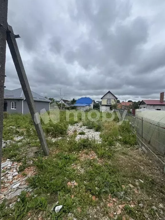 Участок в Калининградская область, Калининград Чайка СНТ, проезд ... - Фото 2