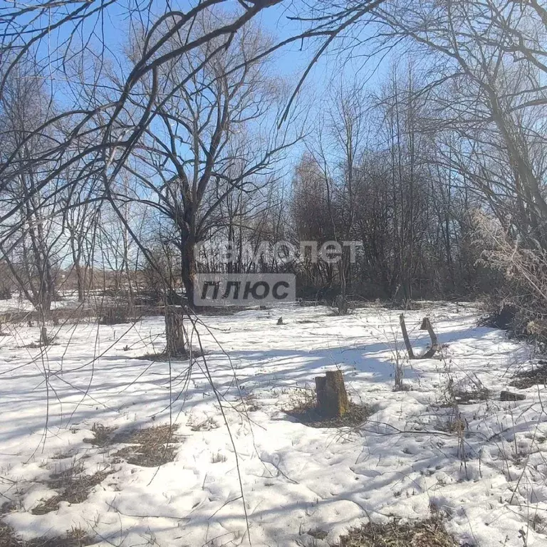 Участок в Рязанская область, Михайловский муниципальный округ, с. ... - Фото 1