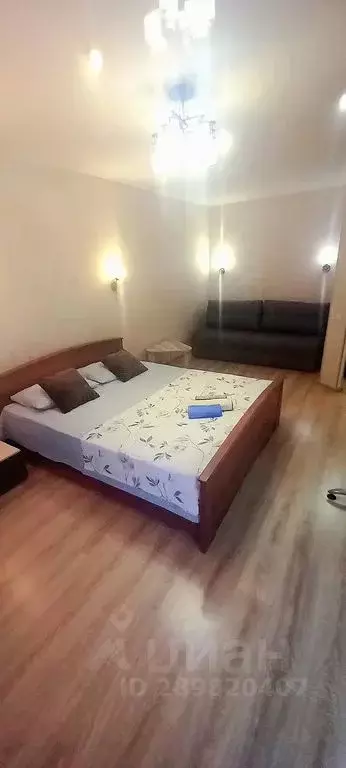 1-к кв. Волгоградская область, Волгоград Пролетарская ул., 29 (36.0 м) - Фото 1