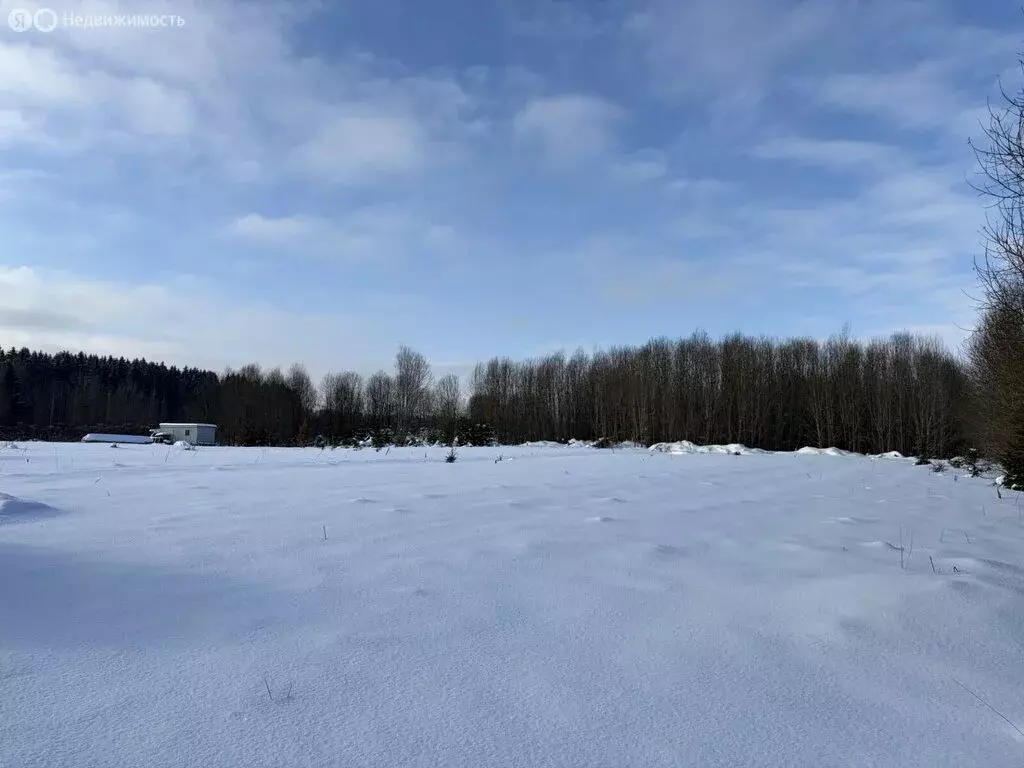 Участок в Волосовский район, Калитинское сельское поселение, деревня ... - Фото 2