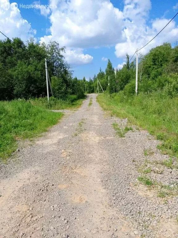 Участок в Череповец, 3-й Кемеровский переулок (8 м) - Фото 0