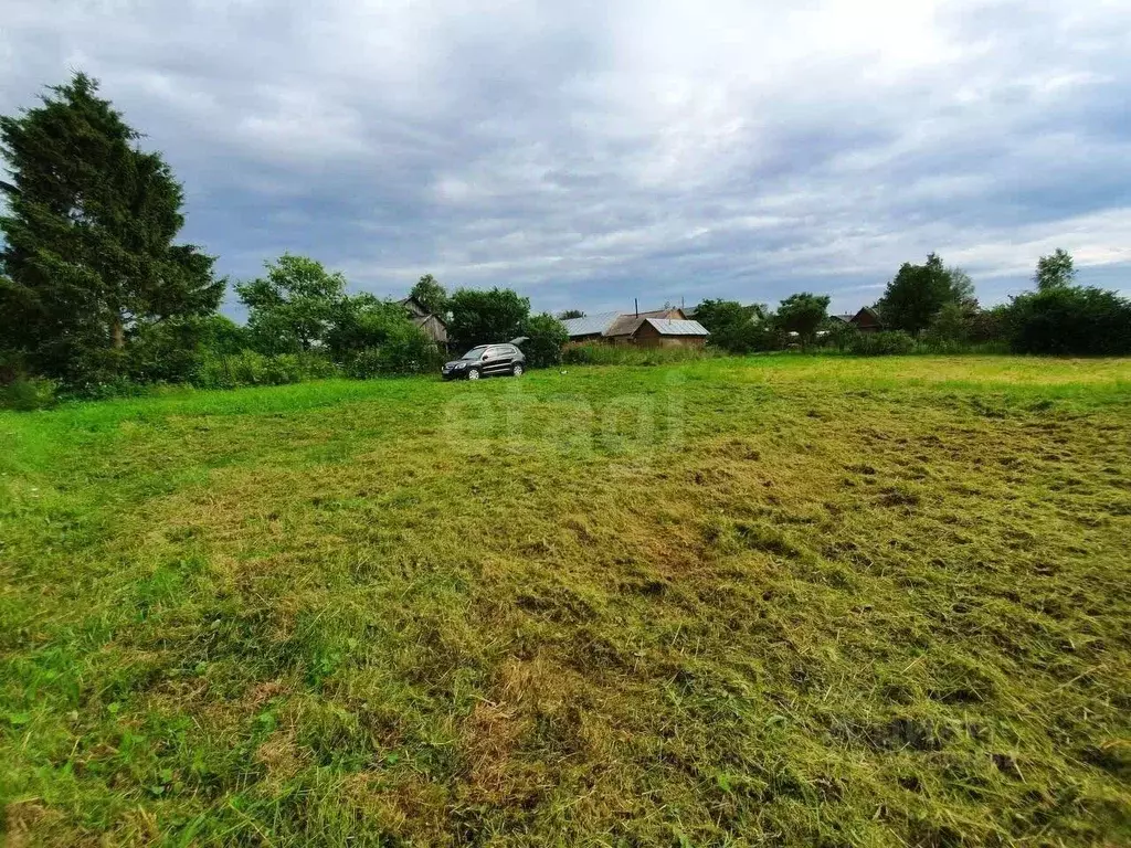Участок в Ярославская область, Ярославский муниципальный округ, д. ... - Фото 1