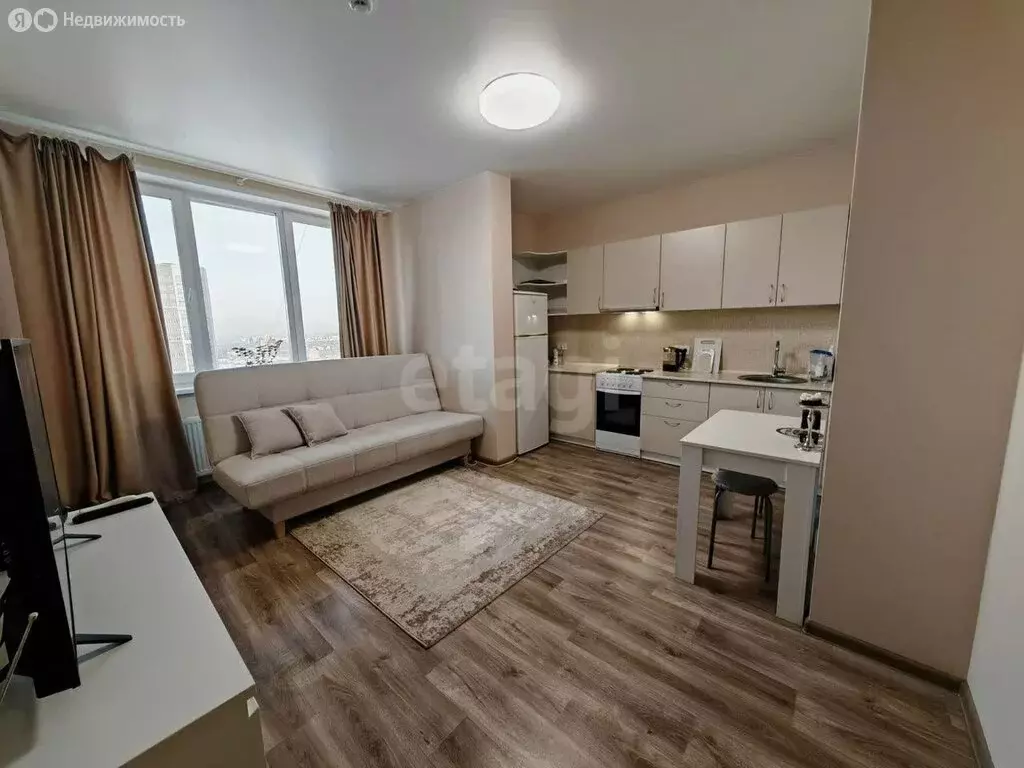 Квартира-студия: Пермь, Теплогорская улица, 24к2 (26.7 м) - Фото 2