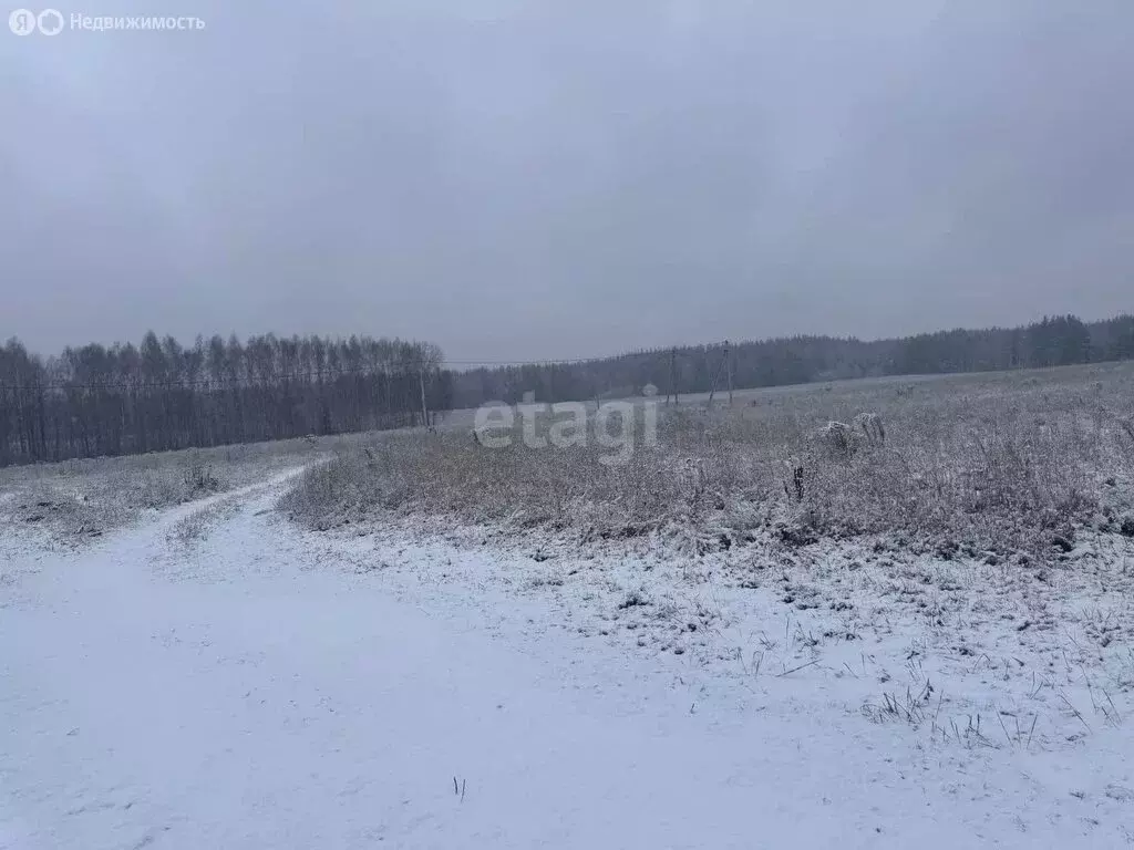 Участок в Нижегородская область, Балахнинский муниципальный округ, ... - Фото 0