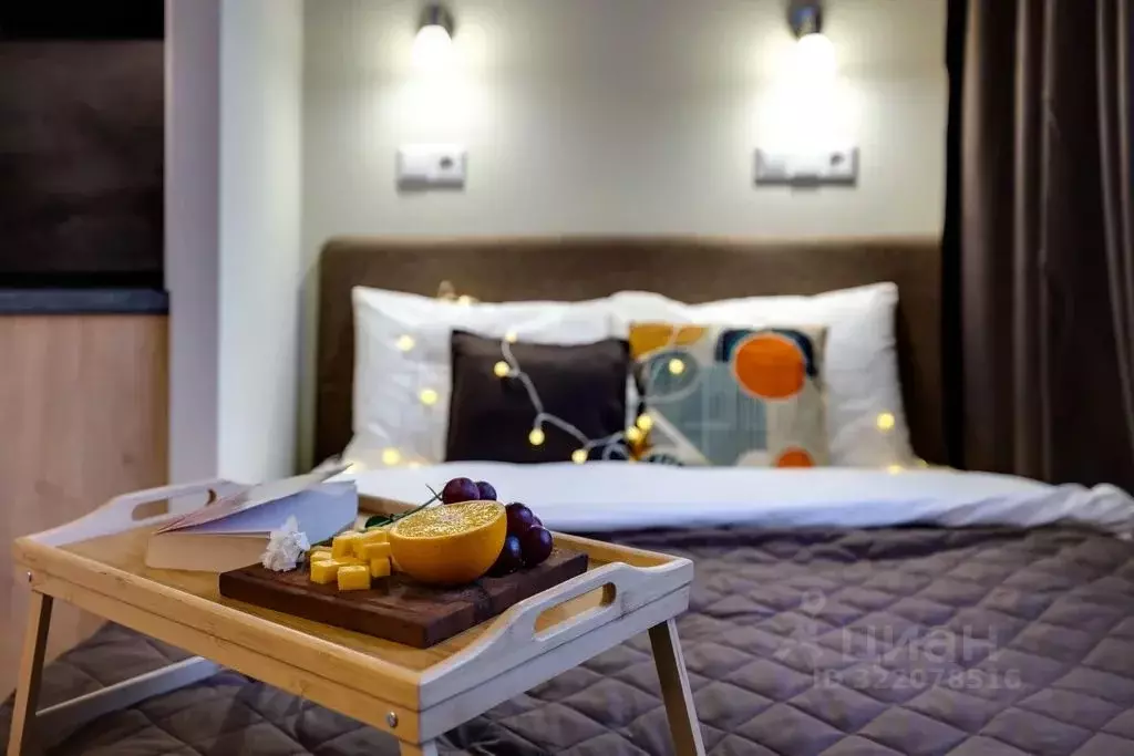 Студия Московская область, Одинцово Северная ул., 13 (20.0 м) - Фото 2