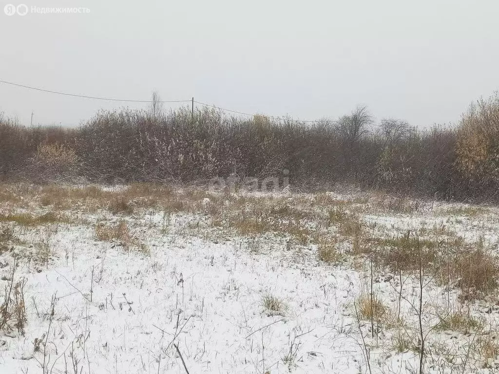 Участок в посёлок Заря, Заринская улица (10.8 м) - Фото 1