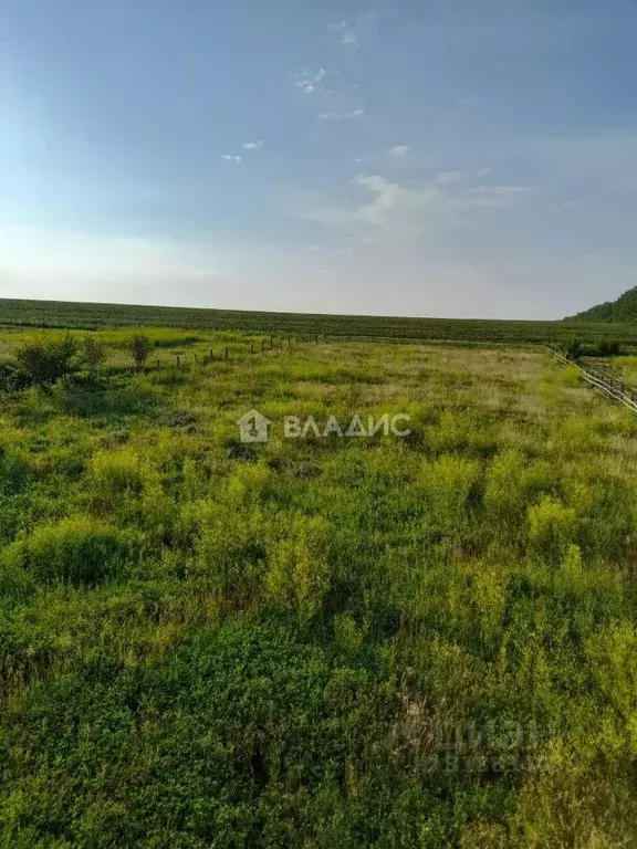 Участок в Башкортостан, Стерлитамакский район, с. Буриказганово  (14.5 ... - Фото 0