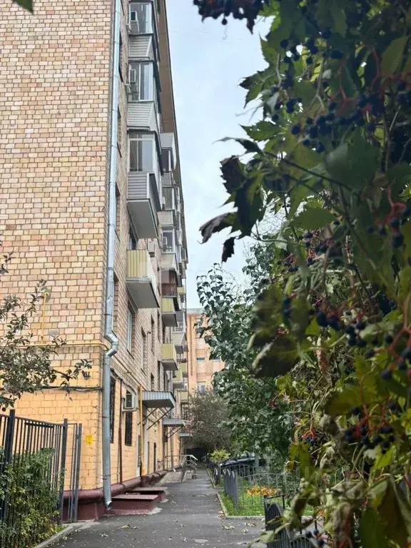 Помещение свободного назначения в Москва Садовническая ул., 21 (13 м) - Фото 2