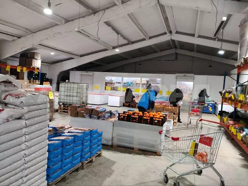 Помещение свободного назначения в Ростовская область, Ростов-на-Дону ... - Фото 2