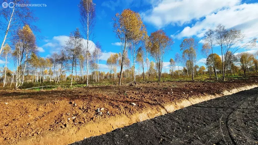 Участок в Московская область, городской округ Клин, деревня Давыдково ... - Фото 1