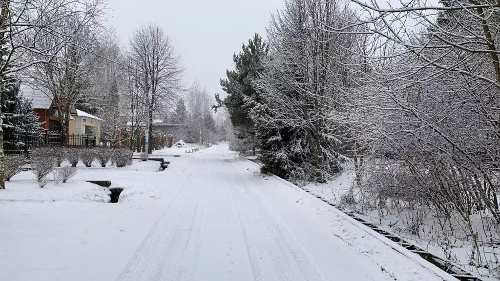 Участок в Московская область, Истра городской округ, пос. Курсаково ... - Фото 1