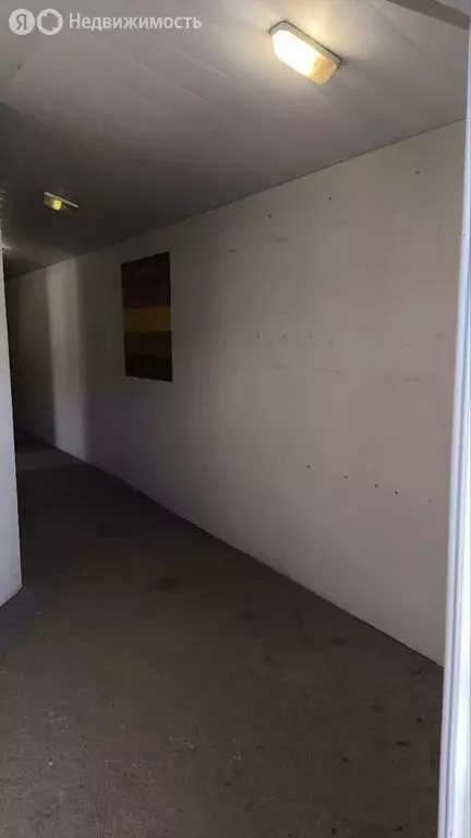 Офис (134.4 м) - Фото 2