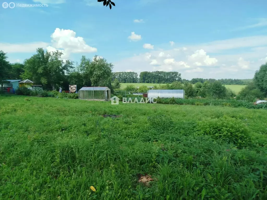 Участок в Владимирская область, Суздальский муниципальный округ, село ... - Фото 1