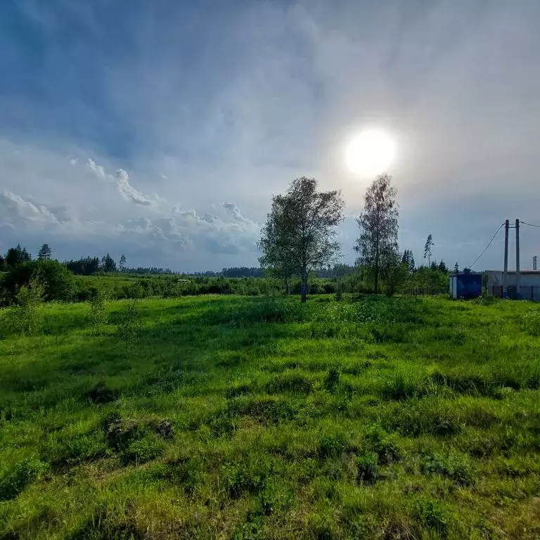 Участок в Московская область, Солнечногорск городской округ, Элитные ... - Фото 0