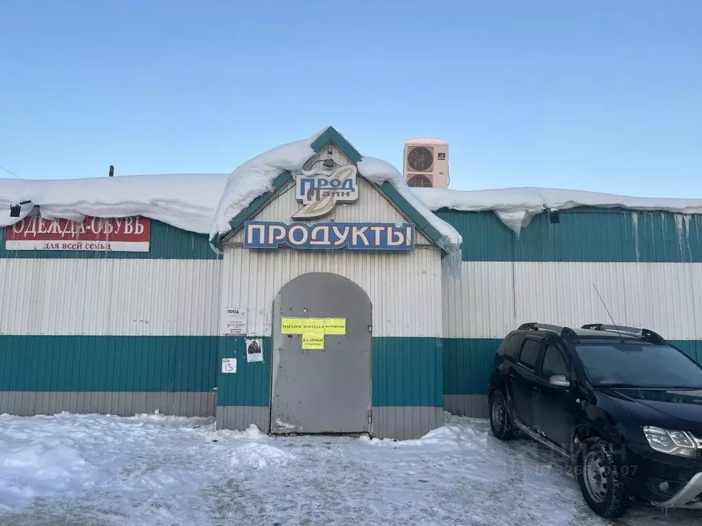 Торговая площадь в Московская область, Воскресенск городской округ, с. ... - Фото 2