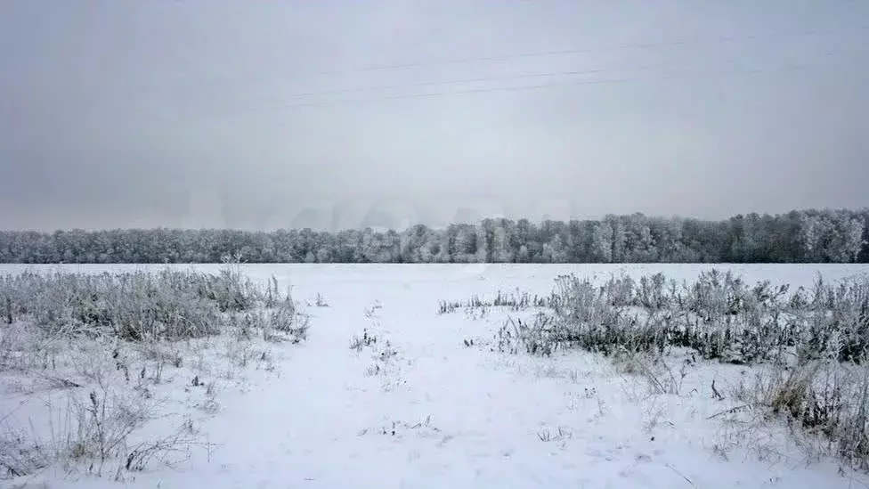 Участок в Архангельская область, Котласский муниципальный округ, пос. ... - Фото 1