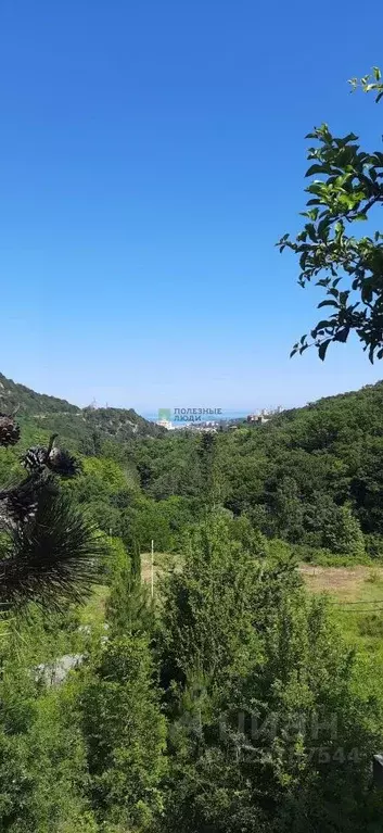 Участок в Крым, Ялта муниципальный округ, Виноградное пгт ул. Яузы ... - Фото 1