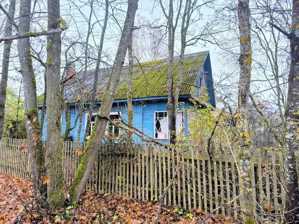 Дом в Ленинградская область, Гатчинский муниципальный округ, Вырица ... - Фото 2