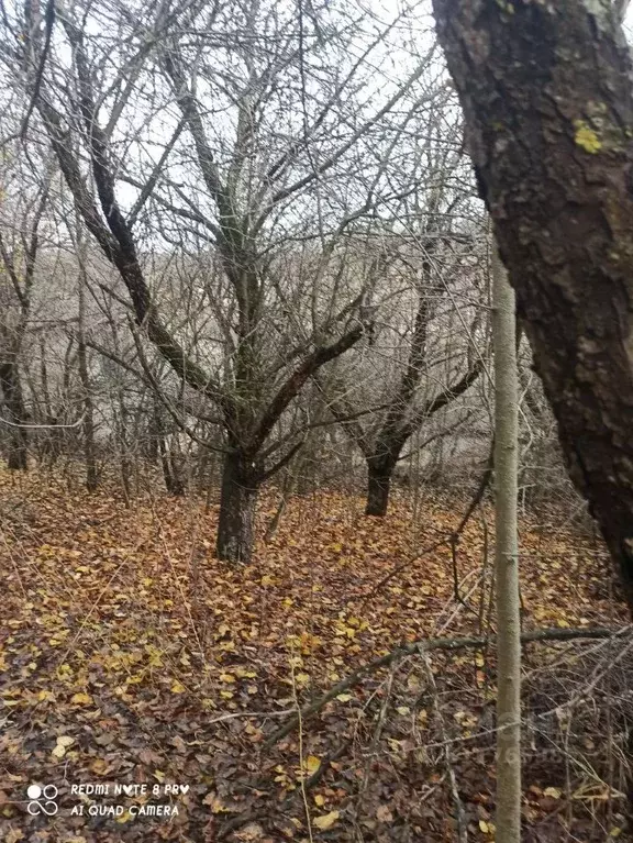 Участок в Белгородская область, Яковлевский муниципальный округ, с. ... - Фото 0