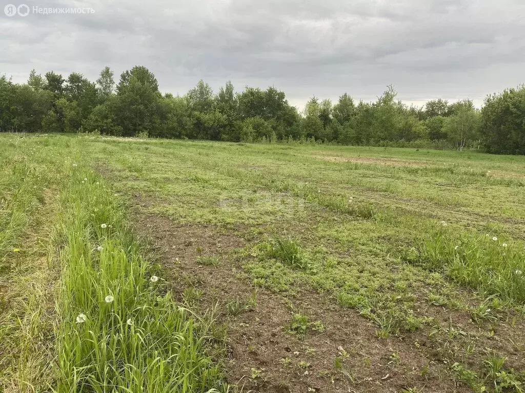 Участок в Московская область, городской округ Коломна, село Маливо ... - Фото 0