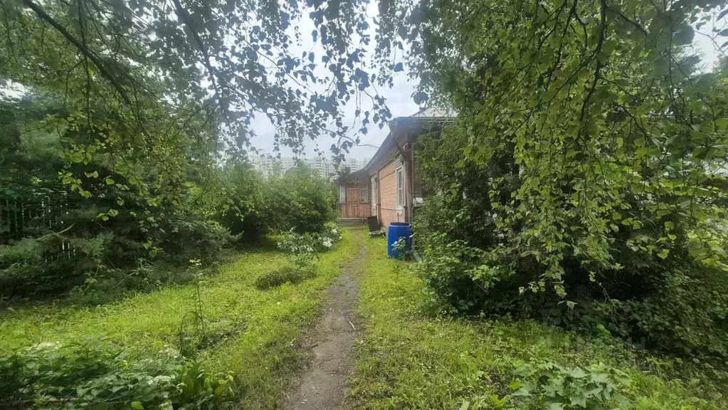Участок в Московская область, Звенигород Одинцовский городской округ, ... - Фото 1