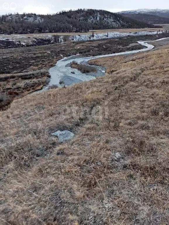 Участок в Кош-Агачский район, село Беляши (524.7 м) - Фото 0