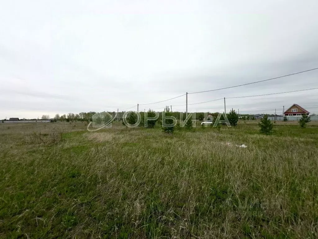 Участок в Тюменская область, Тюменский район, д. Елань 14 (8.03 сот.) - Фото 0