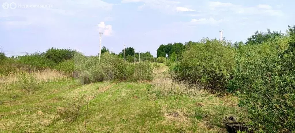 Участок в Тюмень, садовое товарищество Березняки-2 (10 м) - Фото 1