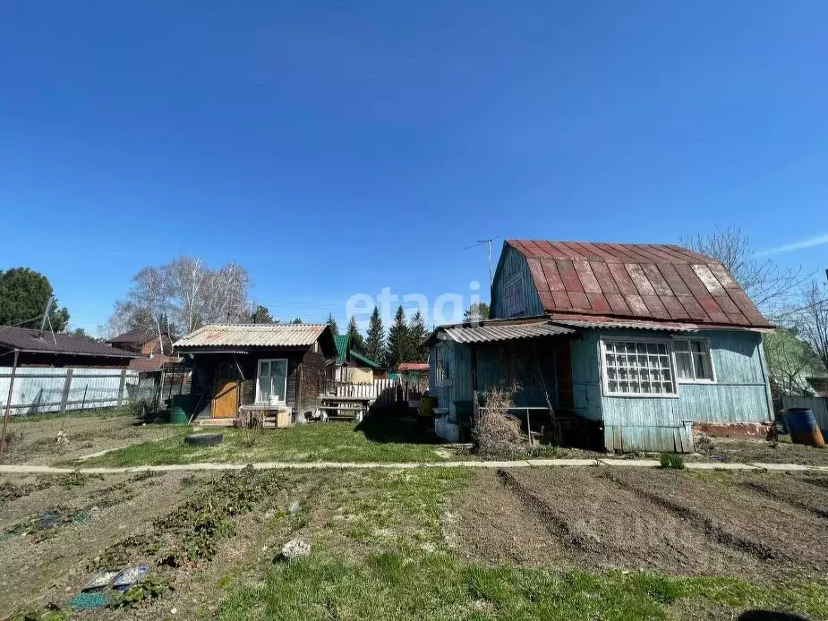 Дом в Новосибирская область, Новосибирск Ивушка садовое товарищество, ... - Фото 1