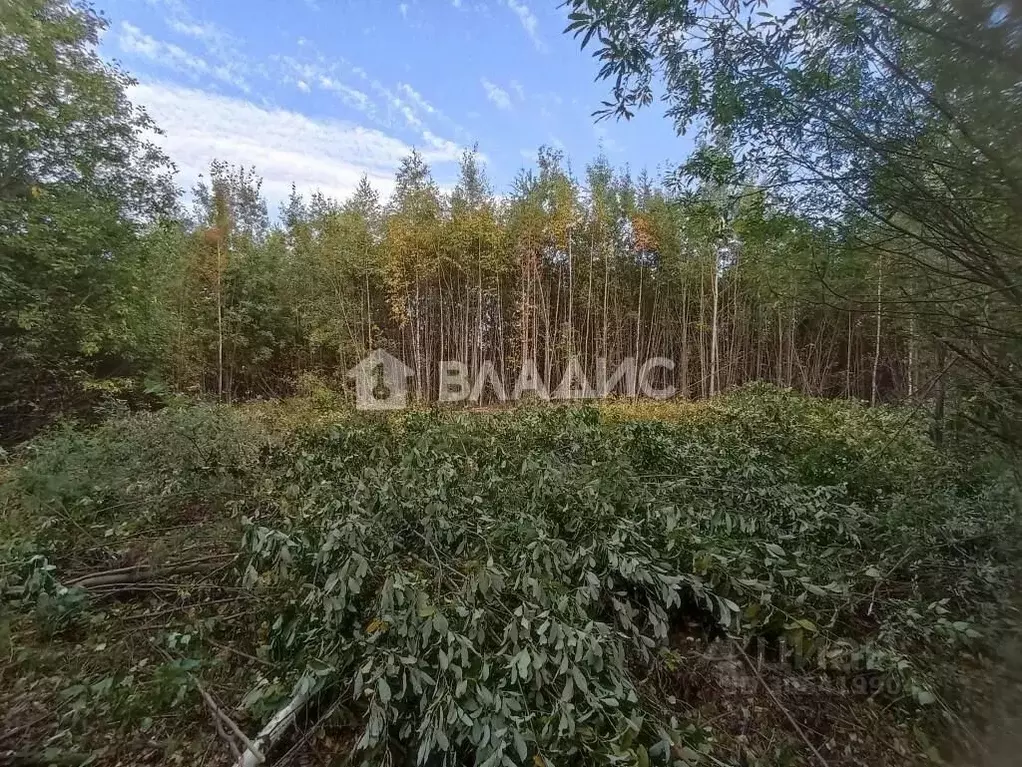 Участок в Коми, Сыктывкар городской округ, Верхняя Максаковка пгт ул. ... - Фото 1