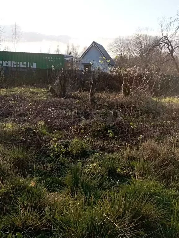 Участок в Калининградская область, Гурьевский муниципальный округ, ... - Фото 1