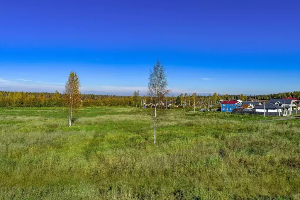 Участок в Ленинградская область, Всеволожский район, Колтушское ... - Фото 1