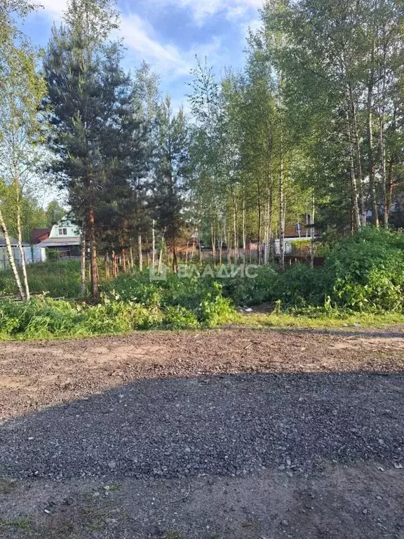 Участок в Московская область, Богородский городской округ, Электрон ... - Фото 0