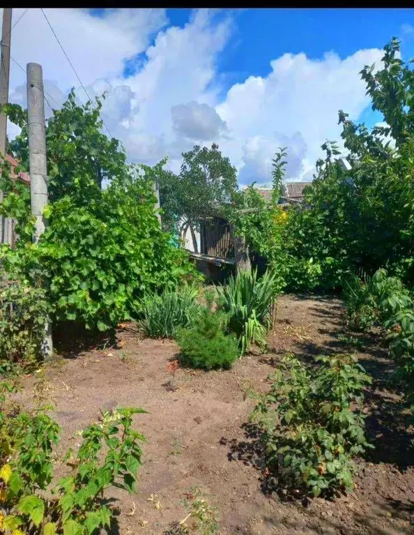 Дом в Краснодарский край, Тимашевск Выборная ул., 18 (34 м) - Фото 1