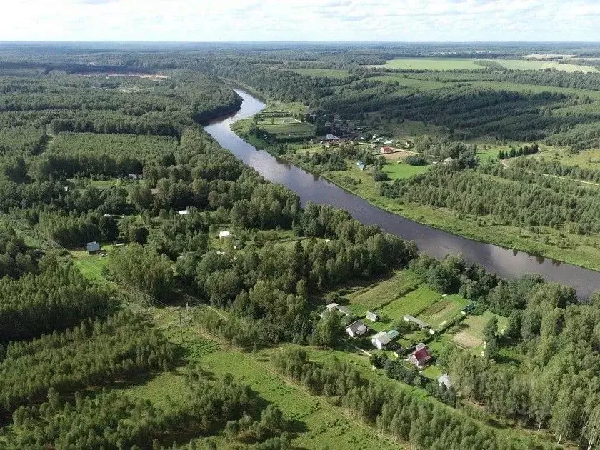 Участок в Тверская область, Ржевский муниципальный округ, д. Кокошкино ... - Фото 2