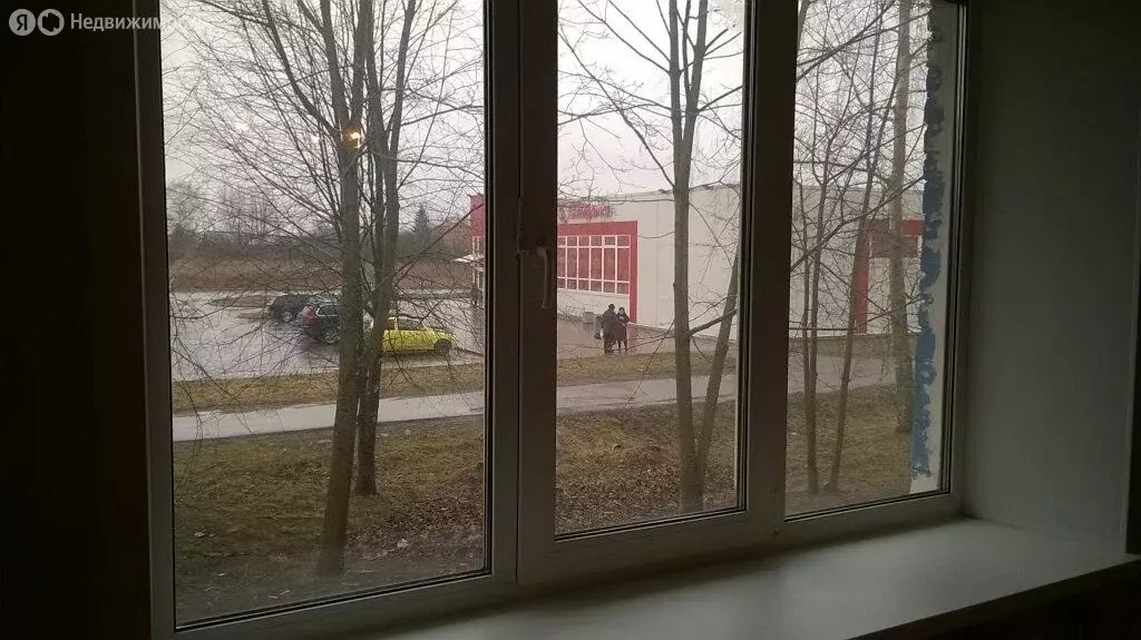 1-комнатная квартира: Старая Русса, улица Тахирова, 12 (29.8 м) - Фото 1