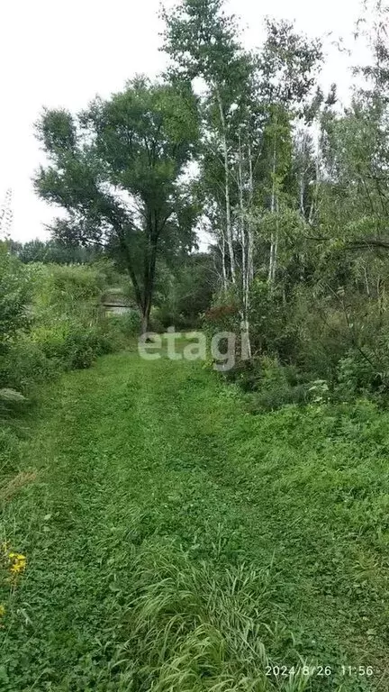 Участок в Благовещенск, СТ Связист (6.2 м) - Фото 1