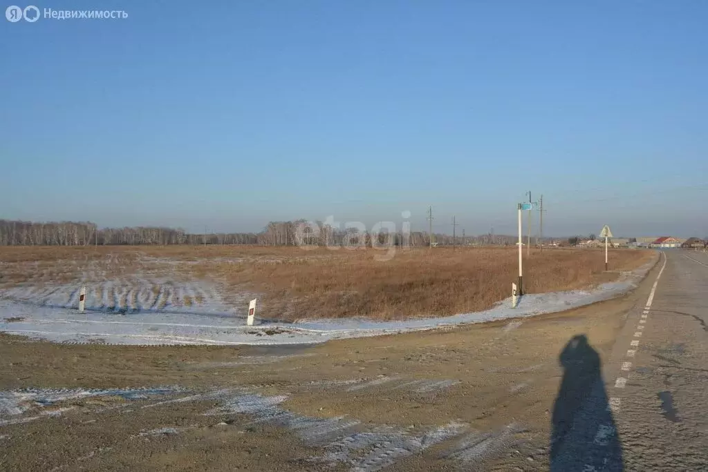 Участок в Искитимский район, деревня Бурмистрово (1099.3 м) - Фото 0