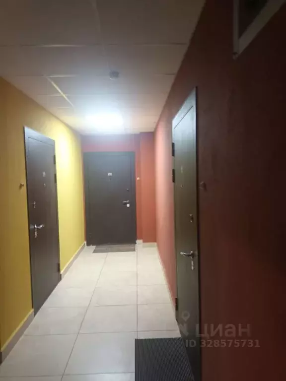 Студия Санкт-Петербург ул. Летчика Лихолетова, 14к2 (24.6 м) - Фото 2