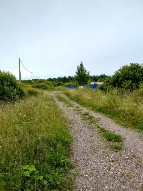 Участок в Новгородская область, Малая Вишера  (12.0 сот.) - Фото 1