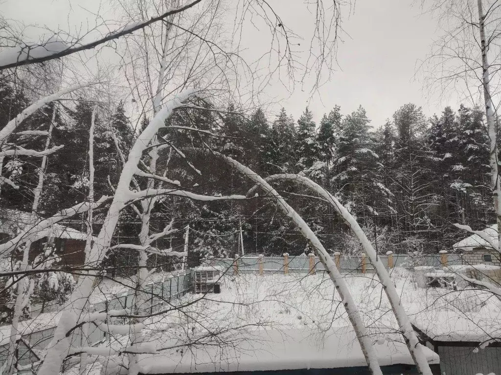 Участок, 11 сот., поселения (ижс) - Фото 1