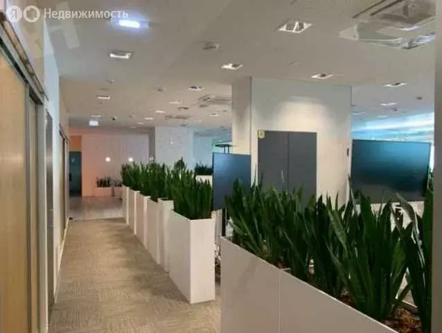 Офис (2059 м) - Фото 2