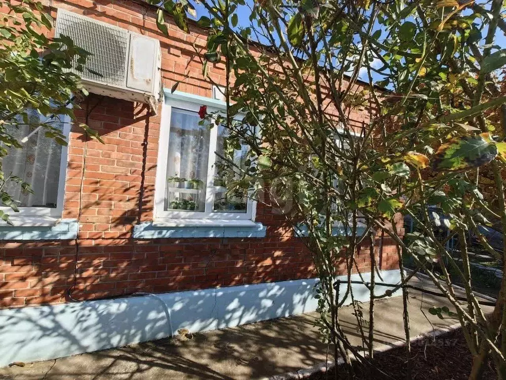 Дом в Краснодарский край, Ейский район, с. Кухаривка Почтовая ул. (56 ... - Фото 2