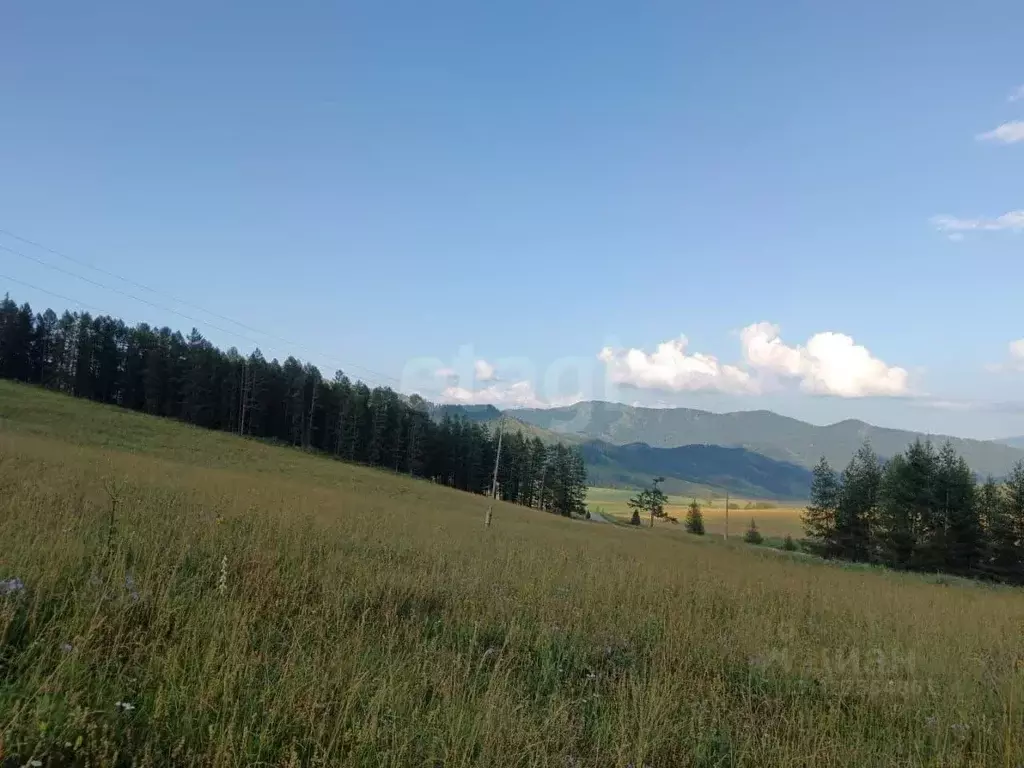 Участок в Алтай, Шебалинский район, с. Малая Черга  (10.0 сот.) - Фото 2