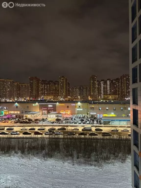 Квартира-студия: посёлок Парголово, Толубеевский проезд, 8к2 (22.1 м) - Фото 2